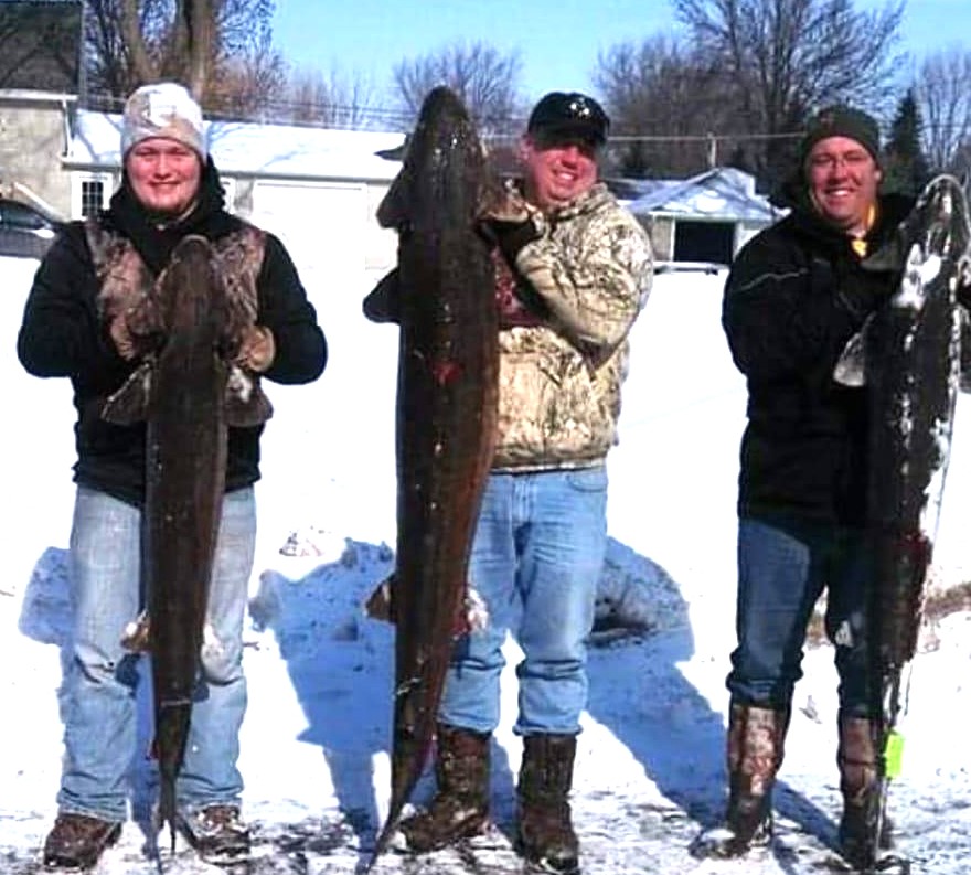 Milwaukee Harbor Brown Trout, Milwaukee Muskie Expo, and Sturgeon